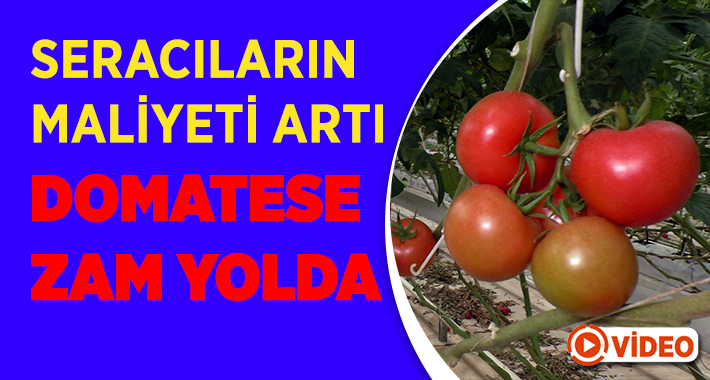 Türkiye’deki sera domatesi üretiminde