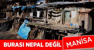 Nepal Görünümlü Manisa