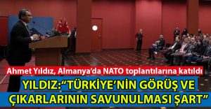 Ahmet Yıldız, NATO Toplantılarına Katıldı