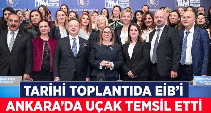 Türkiye İhracatçılar Meclisi (TİM)