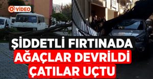 İzmir’de şiddetli fırtına: Çatılar uçtu, ağaçlar devrildi