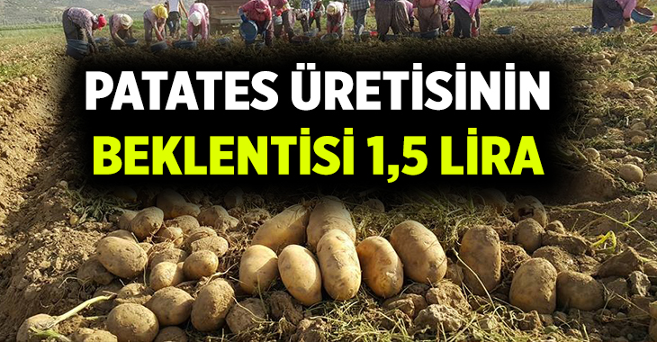İzmir'in patates üretimiyle ünlü