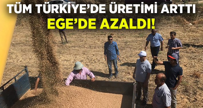  Türkiye’de nohut üretimi
