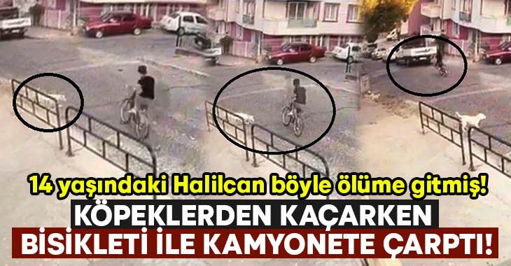 İzmir’in Bergama ilçesinde, bisikletiyle