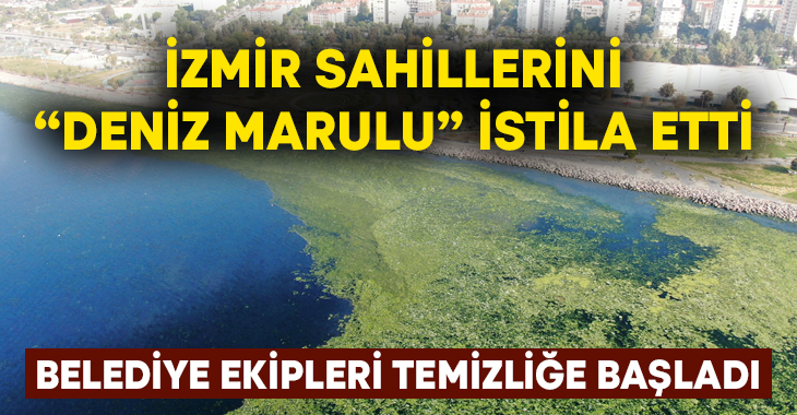  İzmir’de sahili, halk
