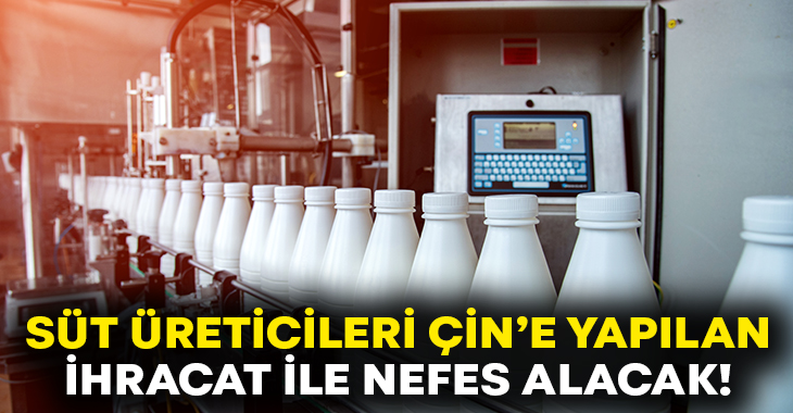 Türk süt ürünleri sektörü