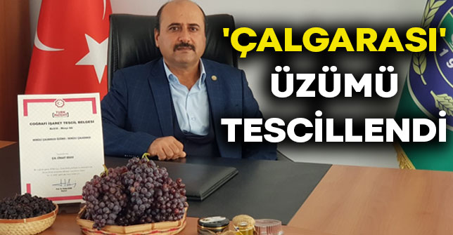 Denizli'nin Çalgarası Üzümü, Türk
