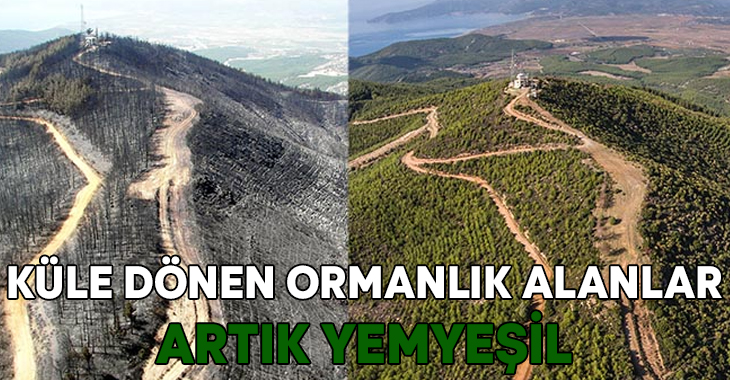 İzmir Orman Bölge Müdürü