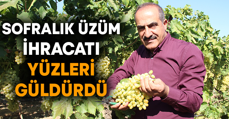 Türkiye’nin geleneksel ihraç ürünlerinden