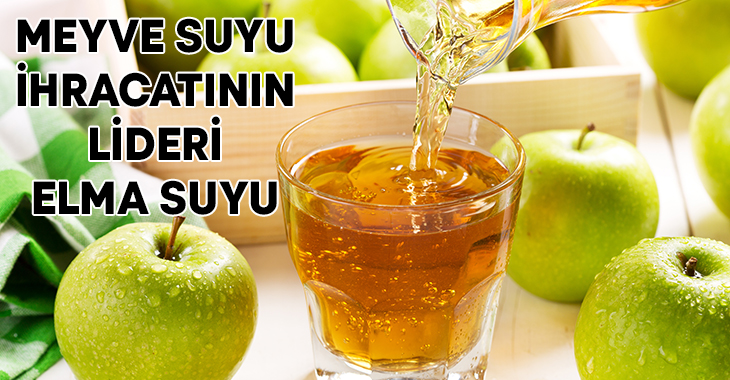 Türkiye’nin meyve suyu ihracatı