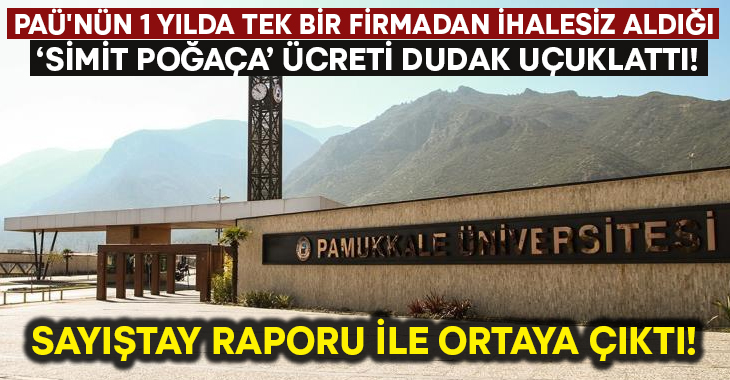 Pamukkale Üniversitesi (PAÜ) Sosyal