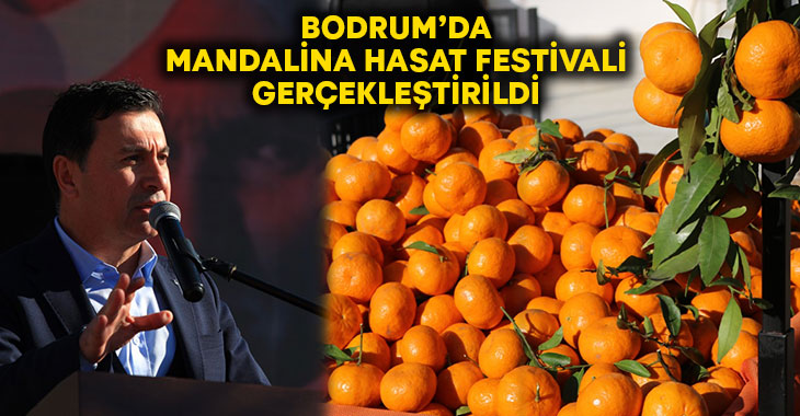 Bodrum’da mandalina hasat festivali gerçekleştirildi!