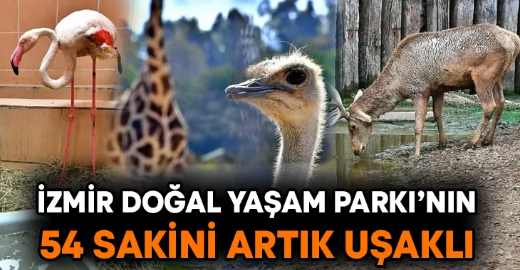 İzmir Doğal Yaşam Parkı’nın 54 sakini artık Uşaklı