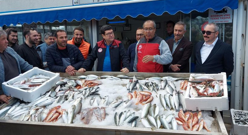 Muğla'da balıkçılar tuttukları balıkları