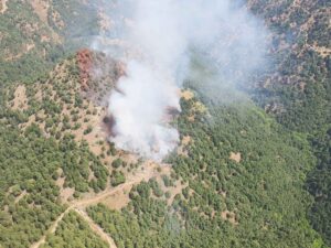 Alaşehir’de orman yangını