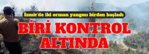 İzmir’deki orman yangınlarından biri kontrol altında