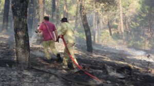 Denizli’deki orman yangınında 20 hektar alan kül oldu