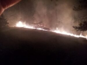 Köyceğiz Otmanlar’da 3 hektar ormanlık alan yandı