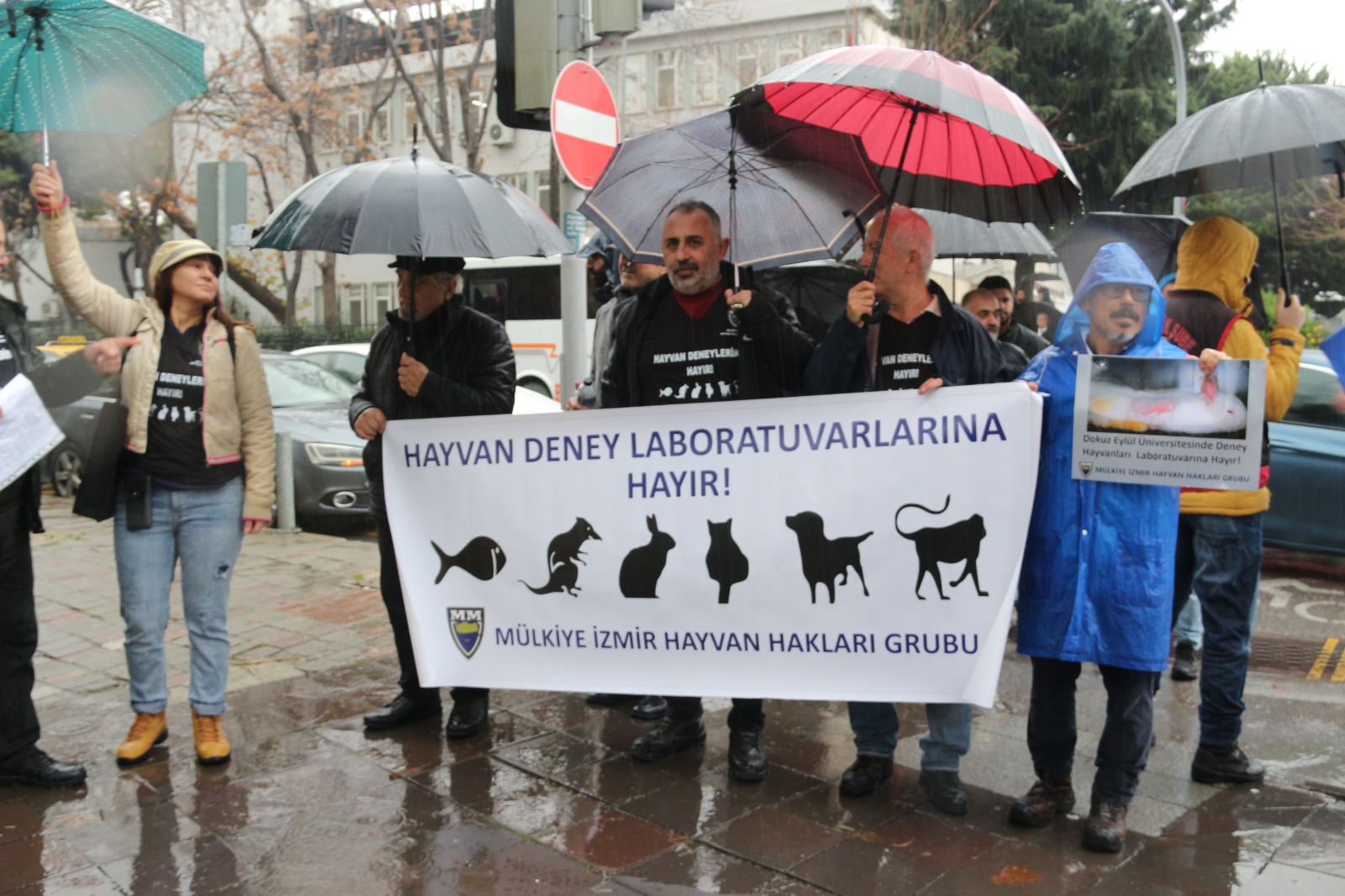 Mülkiye İzmir Hayvan Hakları