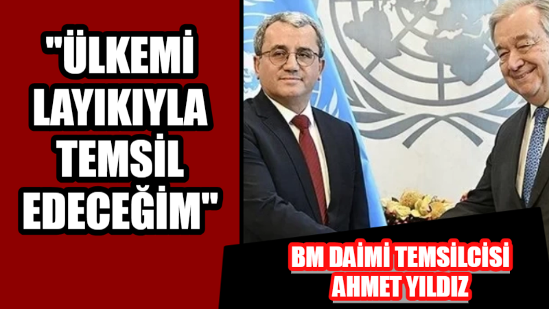 Türkiye'nin Birleşmiş Milletler (BM)