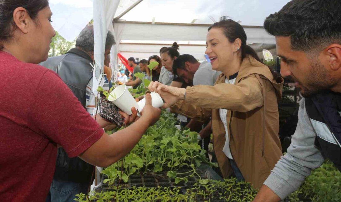 Selçuk Belediyesi atalık tohumlardan ürettiği fideleri halkla buluşturdu