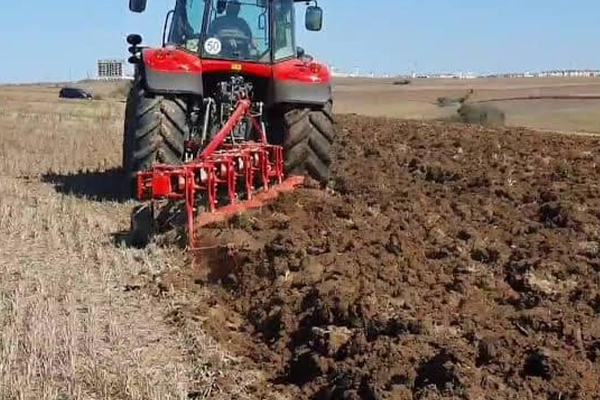 Manisa’nın Salihli ilçesindeki Tarım ve Orman Müdürlüğü, yaz mevsimiyle birlikte