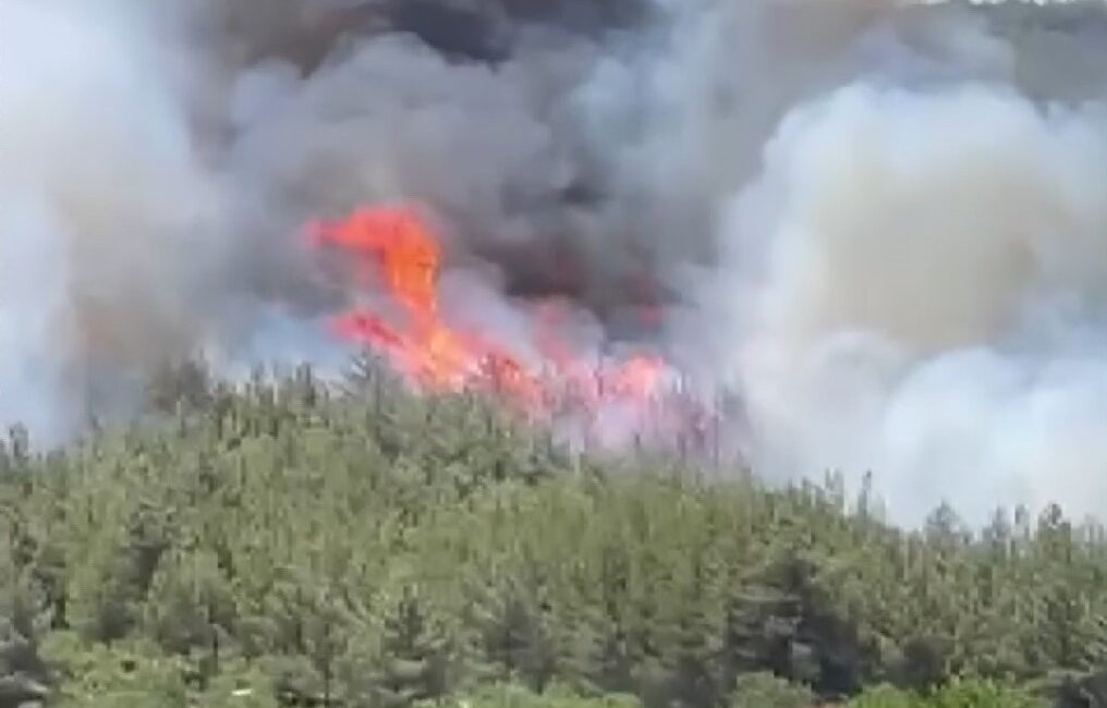 Manisa’nın Akhisar ilçesinde, Karaköy Mahallesi yakınlarında saat 11.30 sıralarında başlayan