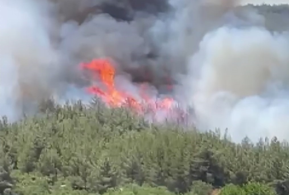 Manisa’nın Akhisar ilçesinde, Karaköy Mahallesi yakınlarında saat 11.30 sıralarında başlayan