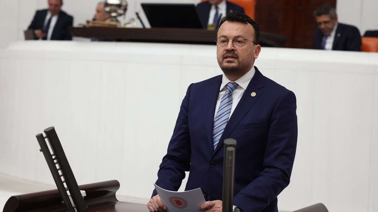 CHP Denizli Milletvekili Şeref Arpacı, Türkiye Büyük Millet Meclisi (TBMM)