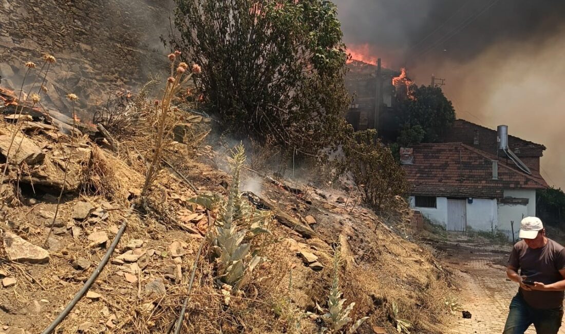İzmir’in Ödemiş ilçesinde dün akşam saatlerinde başlayan orman yangını felakete