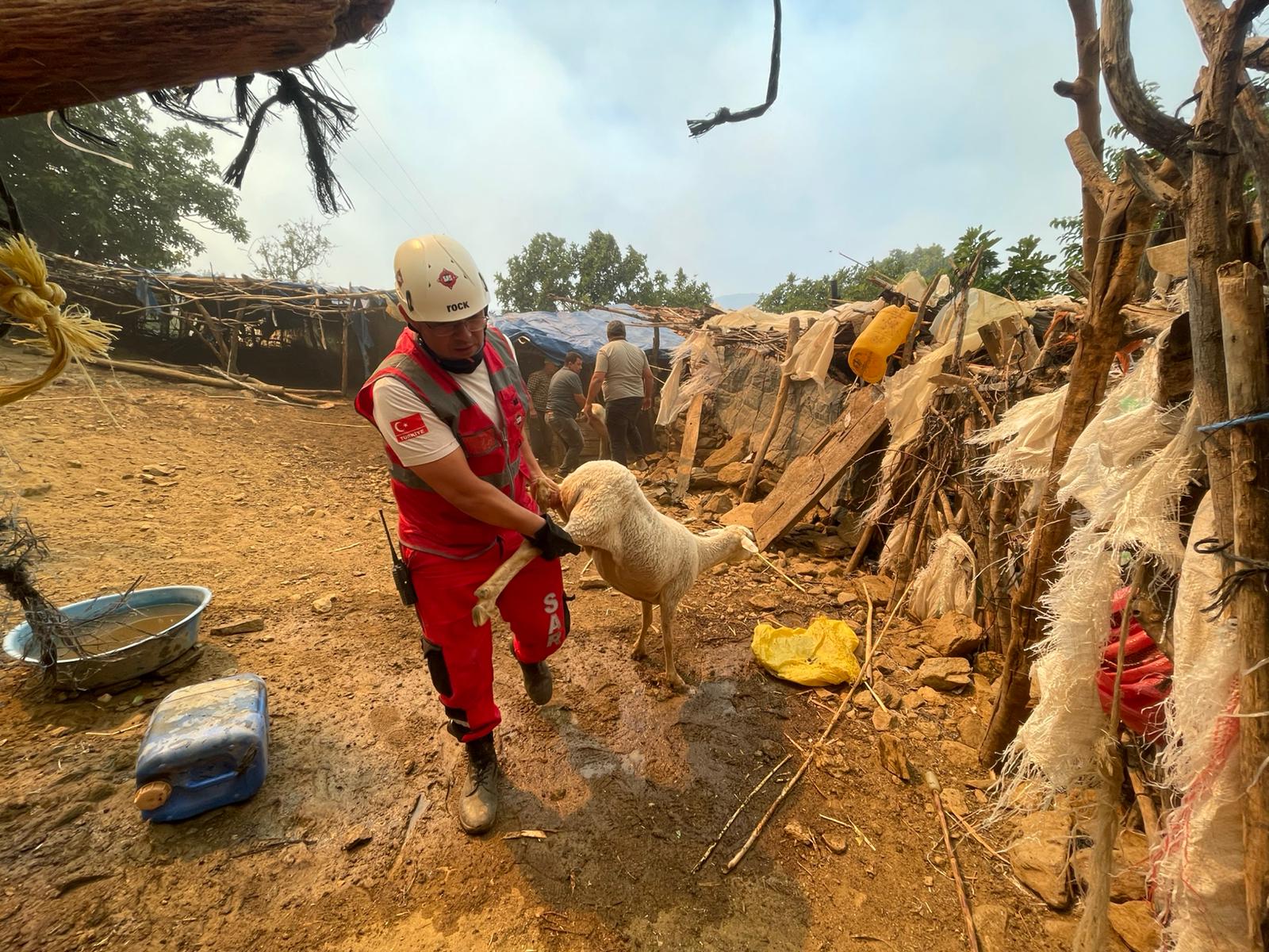 Çeşme’de bugün sabah saatlerinde başlayan orman yangını, rüzgârın da etkisiyle