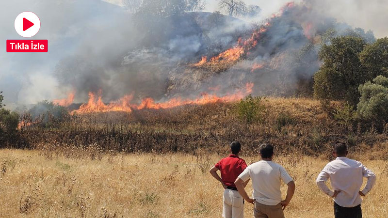 Aydın’ın Nazilli ilçesi Dallıca Mahallesi yakınlarında tarım arazisinde çıkan yangın,