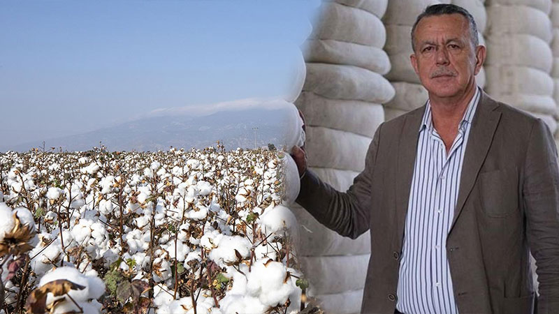 Söke Tariş Pamuk ve Yağlı Tohumlar Tarım Satış Kooperatifi, 2025