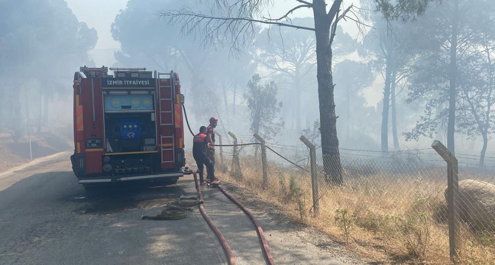 İzmir'in Bergama ilçesinde anız yakımı sırasında çıktığı değerlendirilen yangın ormana