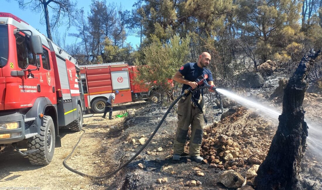 İzmir’in Buca ve Aliağa ilçelerinde dün meydana gelen orman yangınları,