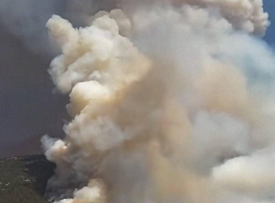 Denizli’nin Pamukkale ilçesi Cankurtaran mevkiinde orman yangını çıktı.