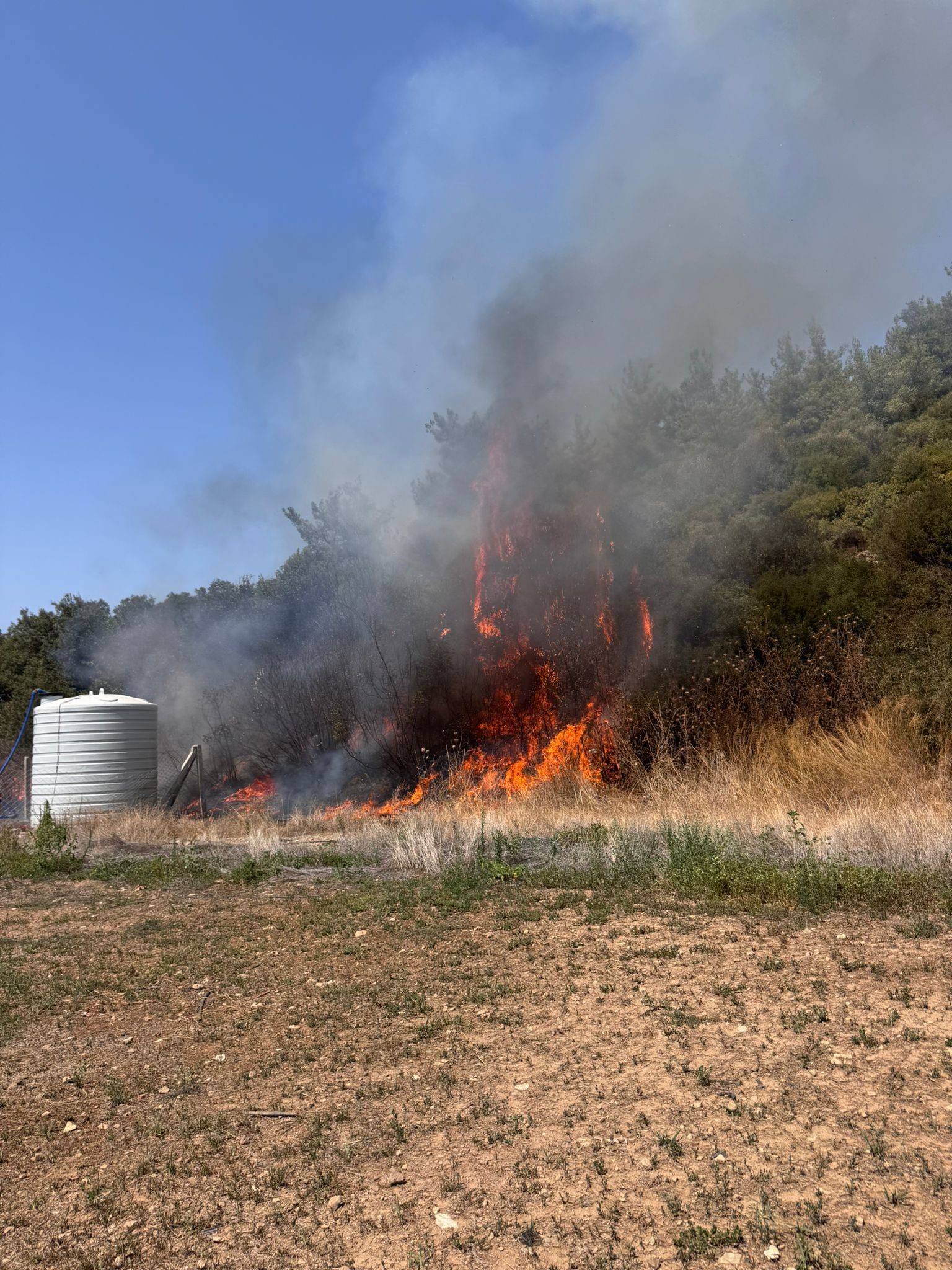 İzmir’in Menderes ilçesinde ziraat arazisinde çıkan yangın, kısa sürede ormanlık