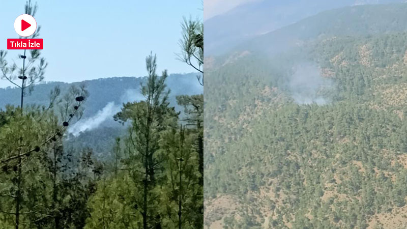 Denizli’nin Acıpayam ilçesi Karaismailler Mahallesi’nde sarp arazide çıkan orman yangınına