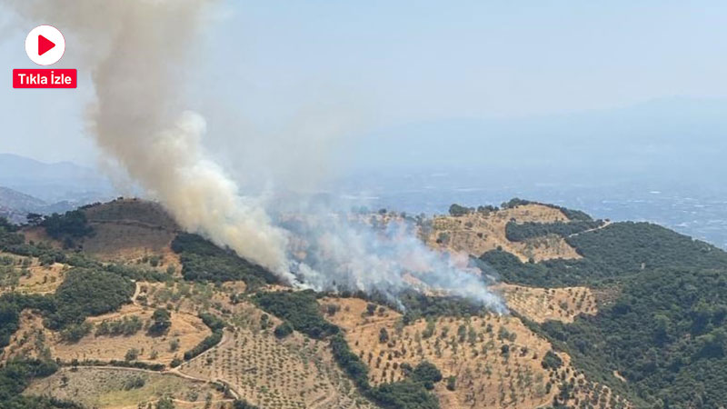 Aydın’da zirai alanda çıkan yangını söndürme çalışmaları başladı. Edinilen bilgiye