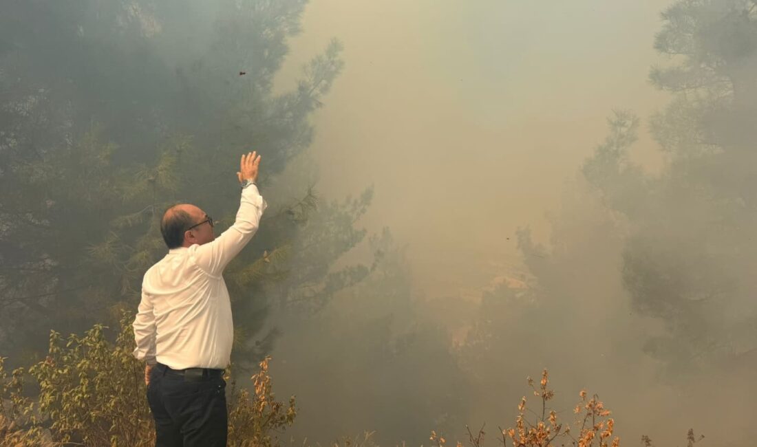 Denizli’nin Buldan ilçesi Hasanbeyler Mahallesi’nde çıkan orman yangını, ekiplerin hızlı