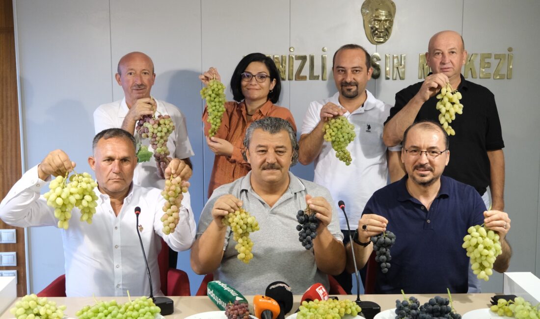 Denizli’nin Acıpayam ilçesine bağlı Avşar Mahallesinde geleneksel üzüm şenliği bu