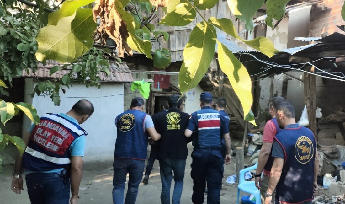 Denizli’nin Acıpayam ilçesinde yaşanan olayda, 93 yaşındaki Hanım Ayşe Kızılhan