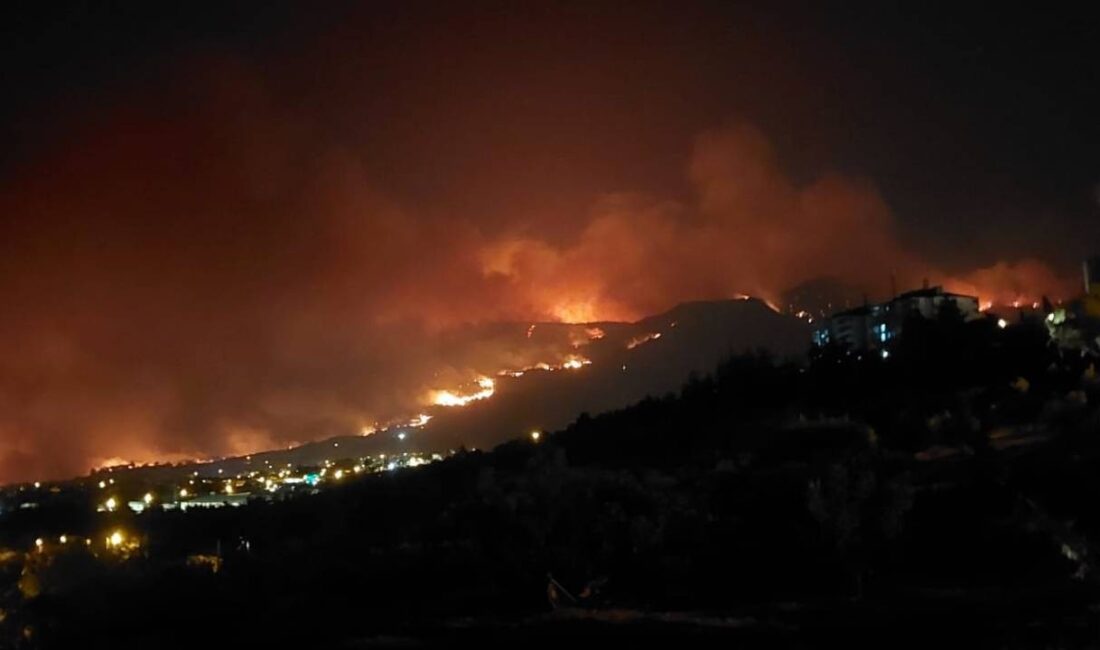 Denizli’nin Buldan ilçesinde günlerdir devam eden orman yangınını kontrol altına