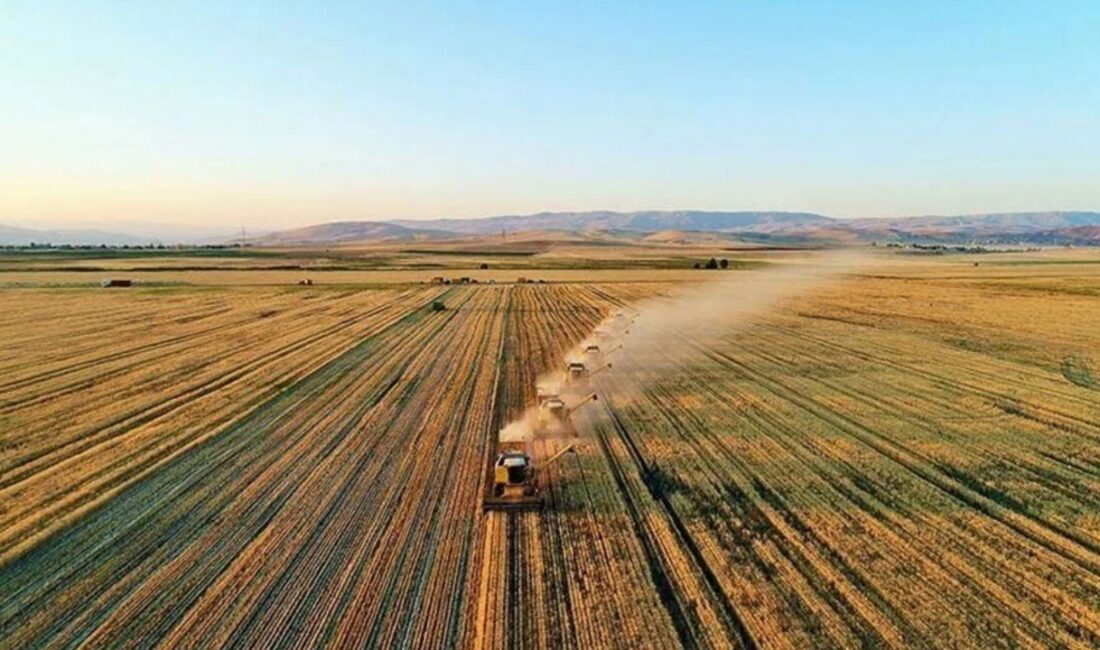 Tarım ve Orman Bakanlığı, Türkiye’de tarımsal üretimi artırmak ve kırsal