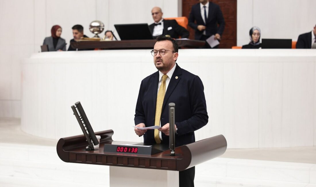 Cumhuriyet Halk Partisi (CHP) Denizli Milletvekili Şeref Arpacı, TBMM Plan