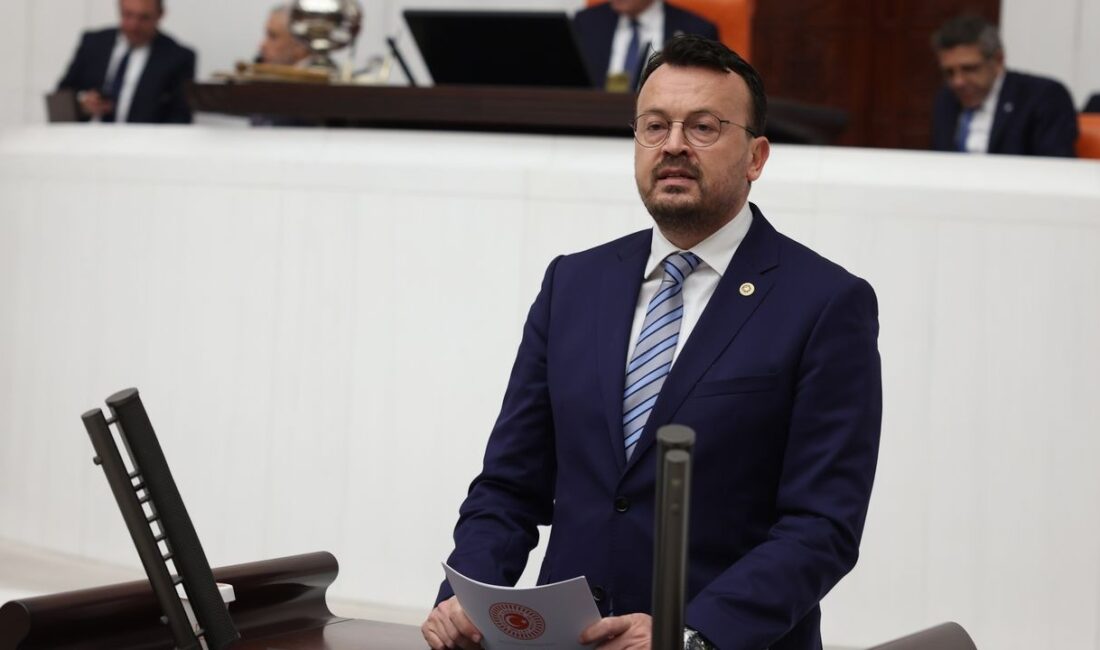 CHP Denizli Milletvekili Şeref Arpacı, TBMM’de yaptığı konuşmada, tekstil ve