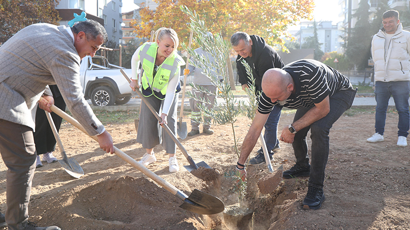 Merkezefendi Belediye Başkanı Şeniz Doğan, Gerzele Mahallesi’nde gerçekleştirdikleri zeytin ağacı