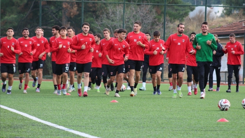 TFF 3. Lig 4. Grup'ta mücadele eden Denizli İdman Yurdu,
