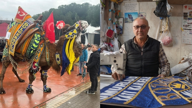 Ege, Akdeniz ve Marmara bölgesinde yaklaşan deve güreşi sezonu öncesi,