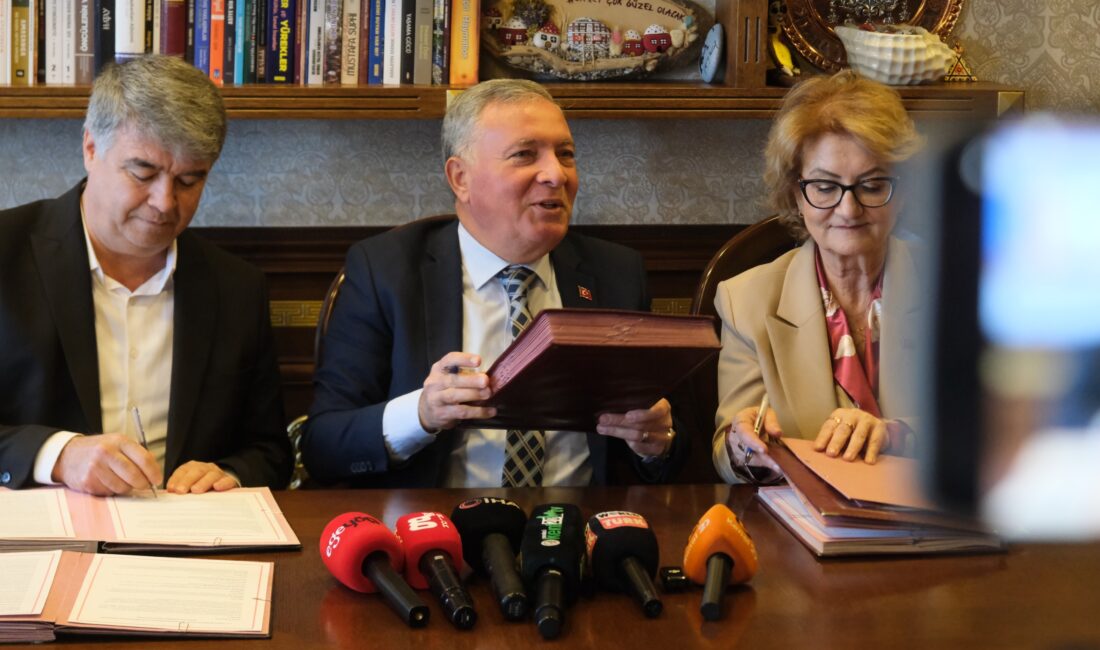 Denizli’de üç ilçe belediyesi, sokak hayvanlarının barınma, tedavi ve rehabilitasyon